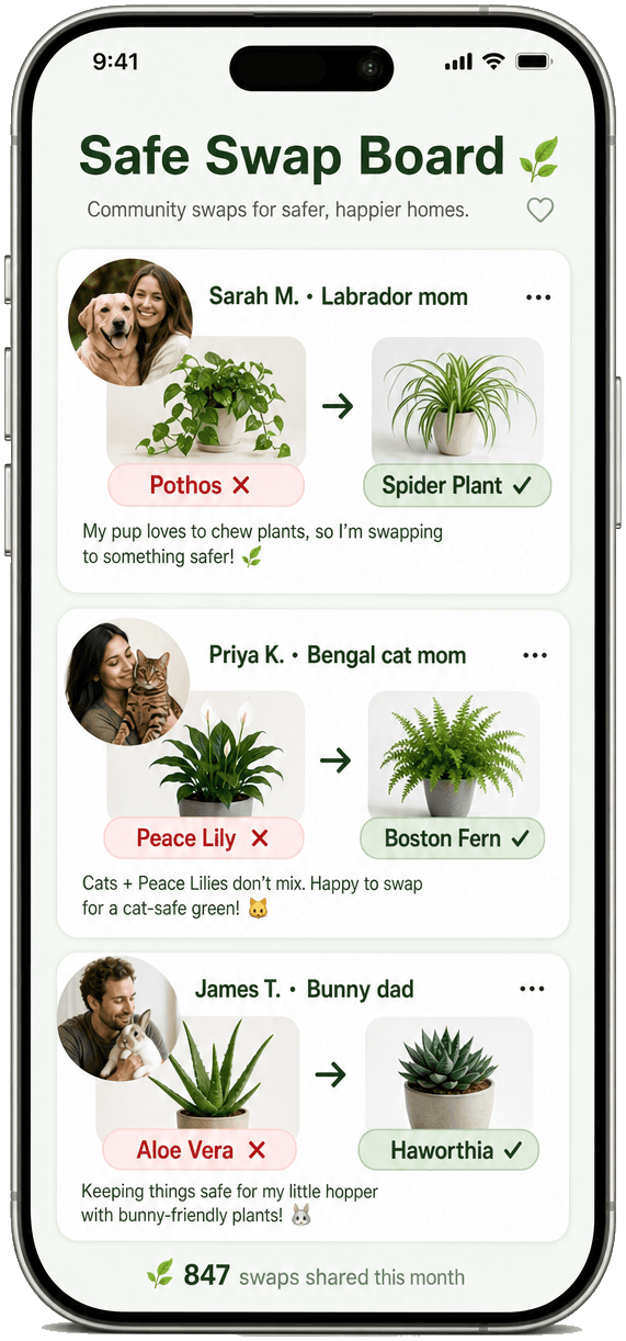 SafeLeaf Safe Swap community board